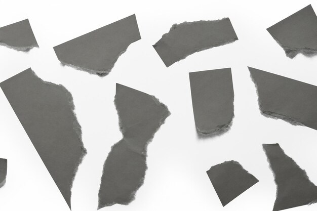 Photo paper torn into pieces isolated on white background