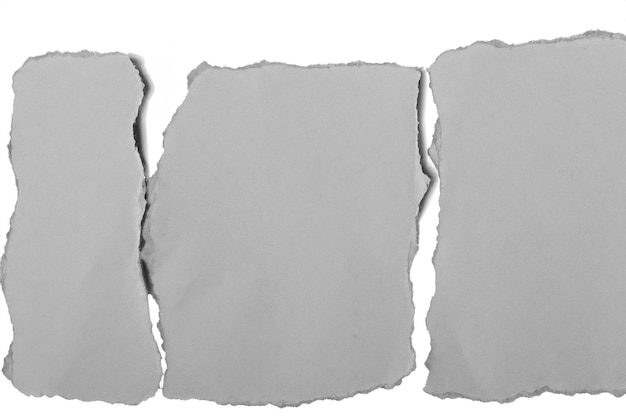 paper torn into pieces isolated on white background