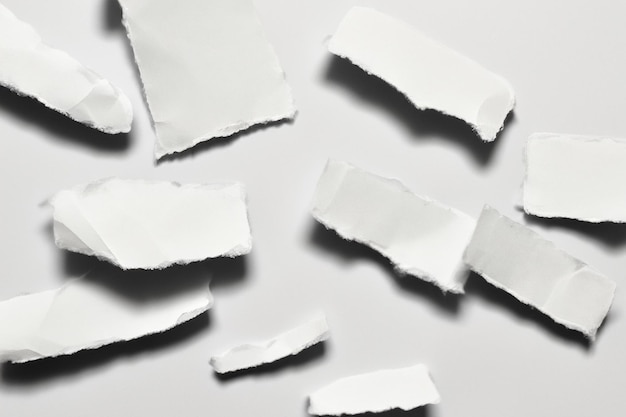 paper torn into pieces isolated on white background