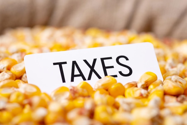 Paper with inscription Taxes on corn grain