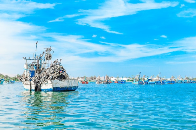 Paracas Peru