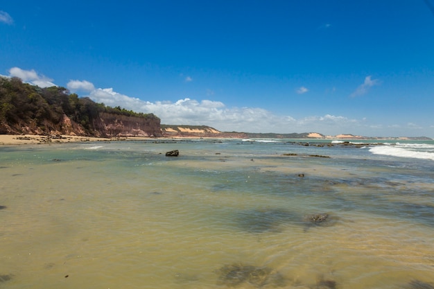 Paradise beach in Pipa, Rio Grande do Norte, Brazil.