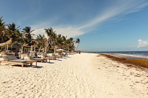 Paradise beach at Tulum, sun umbrellas and sun beds on the beach, Tulum, Mexico