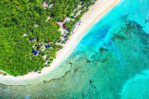 Paradise tropical island nature background. Top aerial drone view of beautiful beach with turquoise sea water and palm trees. Saona island, Dominican republic.