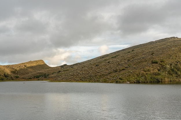 Paramo de Chingaza in Colombia frailejones espeletia grandiflora endemic flowers of the paramo of south america the lake of Siecha