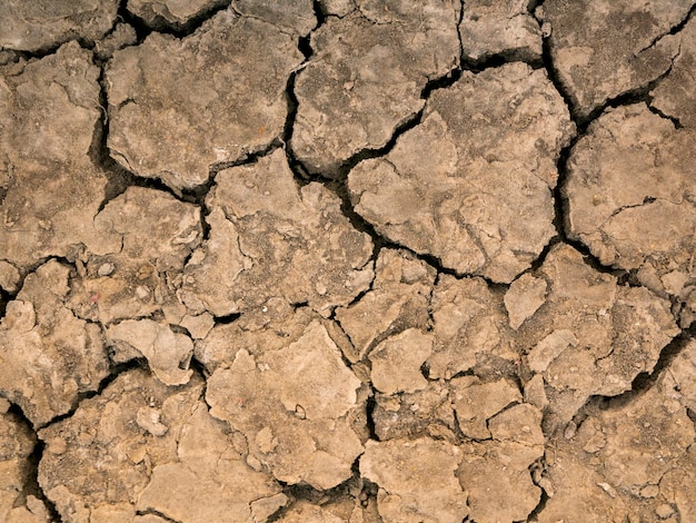 The parched soil and cracked