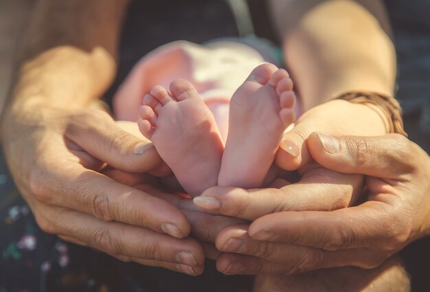 Parents are holding a newborn in nature. Selective focus. Peoploe.