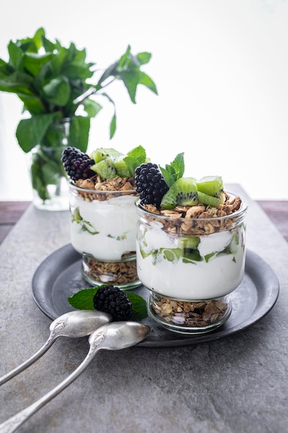 Parfait with kiwi blackberries granola and yogurt Healthy and delicious dessert