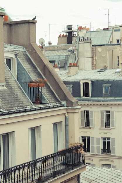 Paris View of the city roofs