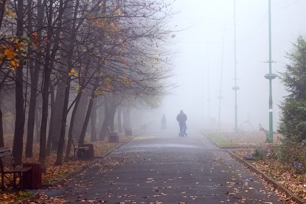 The park alley covered with fallen leaves in a foggy morning. People take a walk in the autumn park