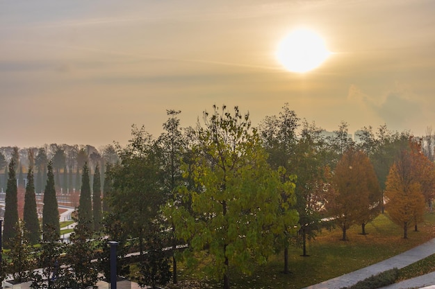 Park during autumn season