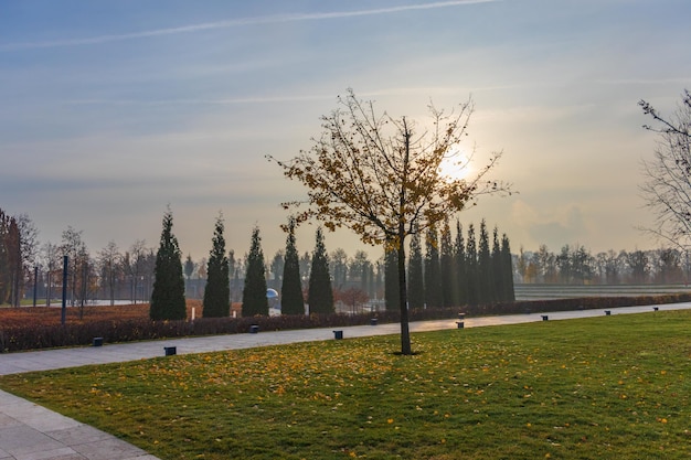 Park during autumn season