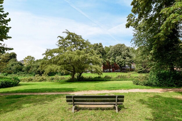 A park bench in the middle of a green park