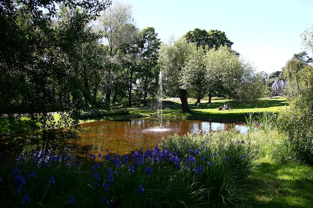 The park in Helsinki Finland