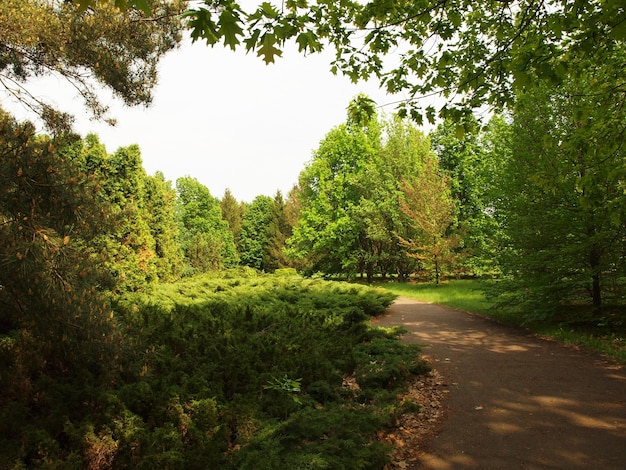 The park is in full bloom