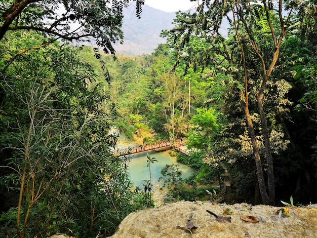 The park in the jungle Laos