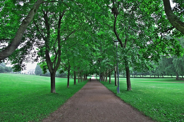 The park in Oslo Norway