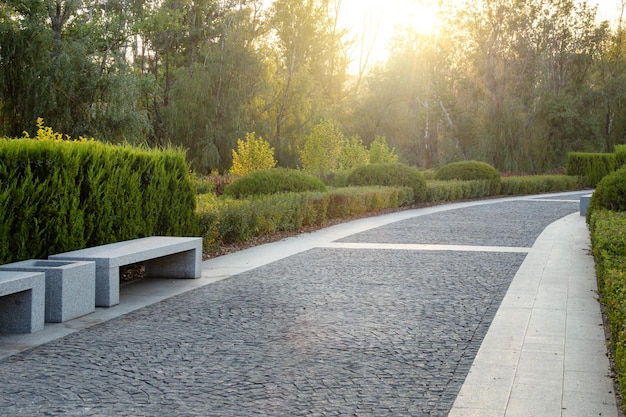 Park path for walking and relaxing in the rays of the evening sun