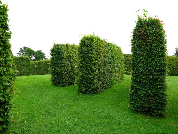 The park of Rundale palace in Latvia Baltic country