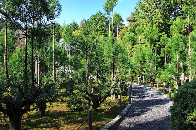 The park in Ryoanji Temple Kyoto Japan