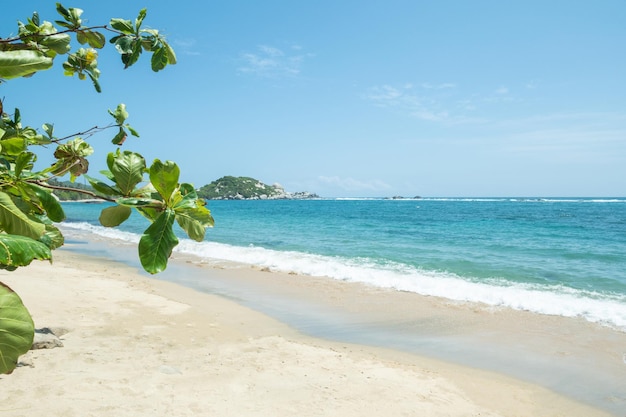 Park Of Tayrona Colombia