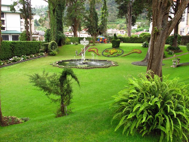 The park in the vintage Hotel in Nuwara Eliya, Sri Lanka