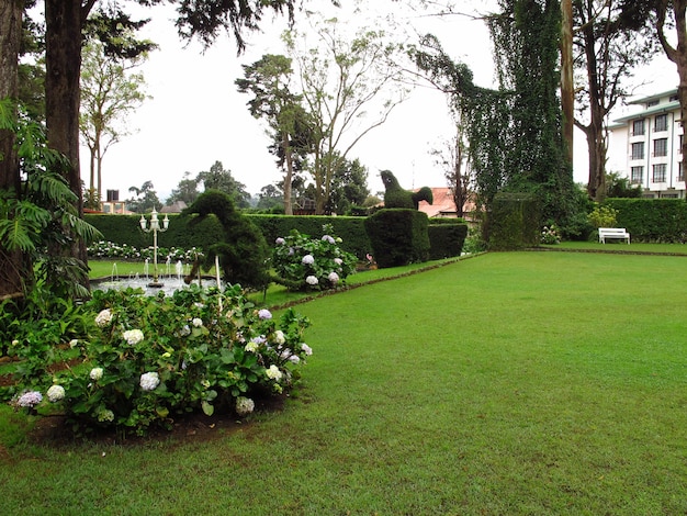 The park in the vintage Hotel in Nuwara Eliya, Sri Lanka