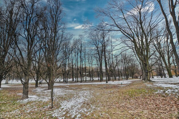 Park in Warsaw of Poland