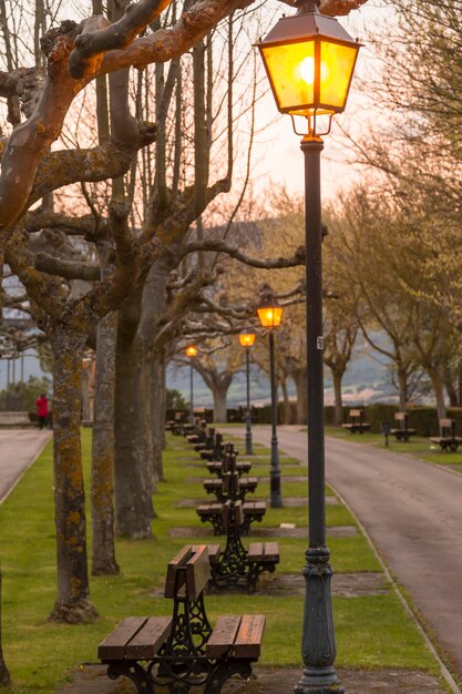 Park with benches at nightfall