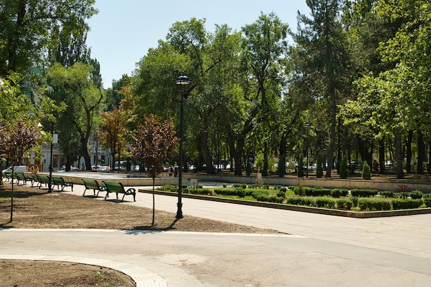 Photo a park with a park and a park with benches and trees.