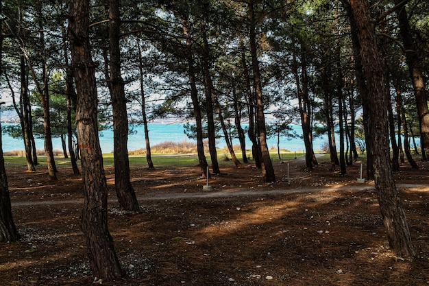 Park with sea view, outdoor activities