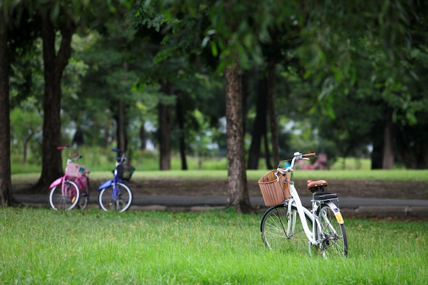 parked bike waiting for my rest