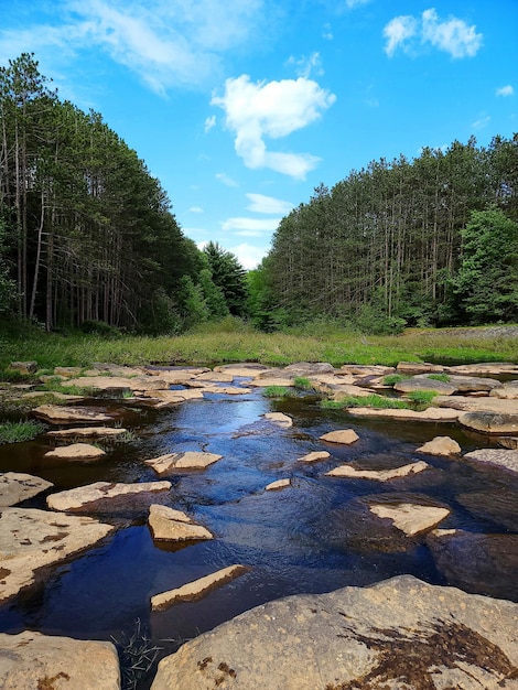 Parker dam state park in pennsylvania