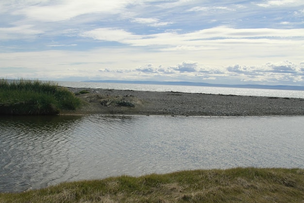 Parque Pinguino Rey King Penguin park on Tierra del fuego