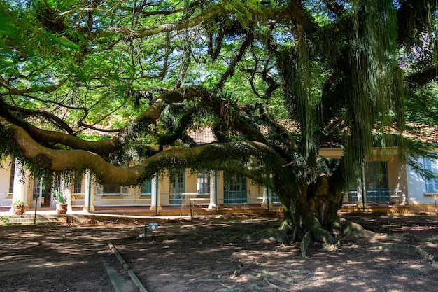 Parque Vicentina Aranha in Sao Jose dos Campos Brazil Chapel and Old Sanatorium