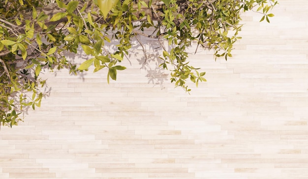 Parquet floor background and trees with shadows old wood grain wall decayed traces parquet 3d