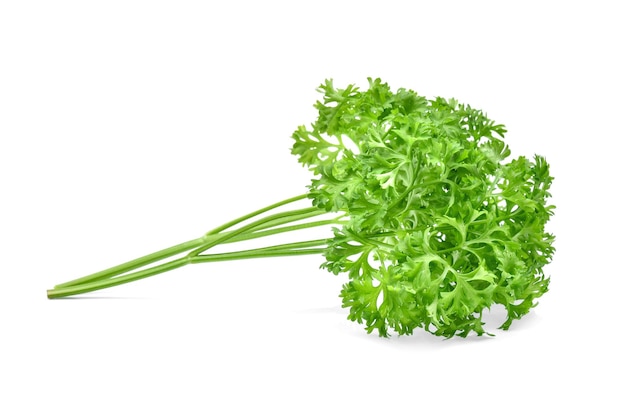 Parsley isolated on white background