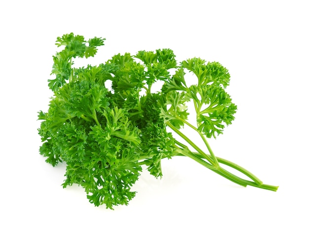 Parsley isolated on a white background