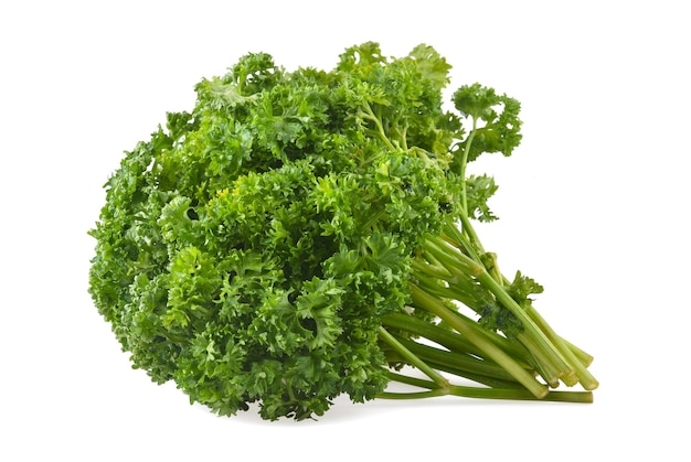 parsley isolated on white background