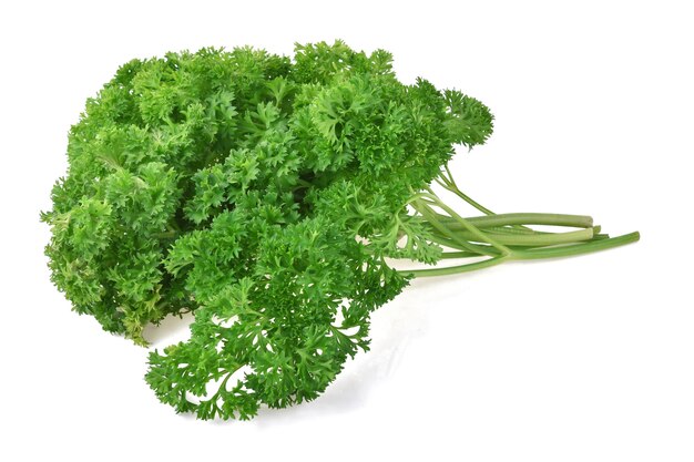 Parsley isolated on white