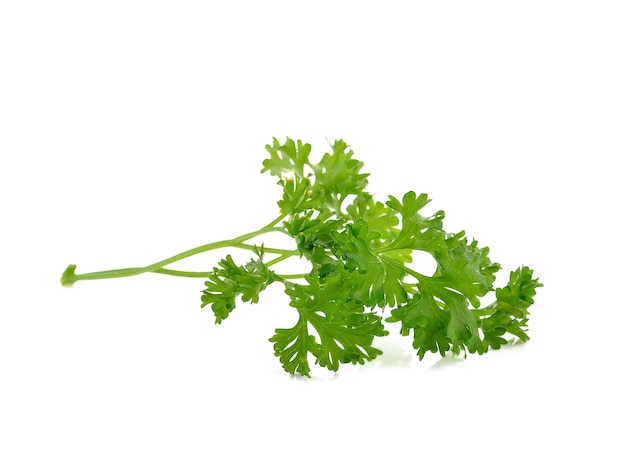 Parsley isolated on white