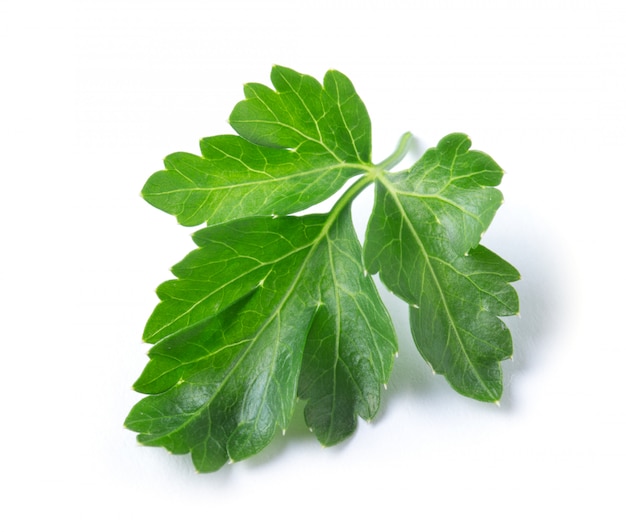 Parsley leaves on white