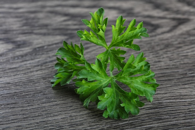 Parsley leaves