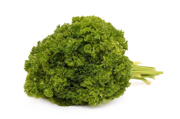 Parsley on a white surface