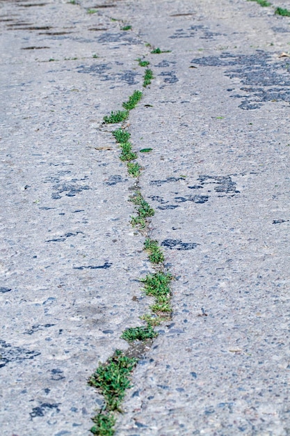 Part of the carriageway for cars with damage