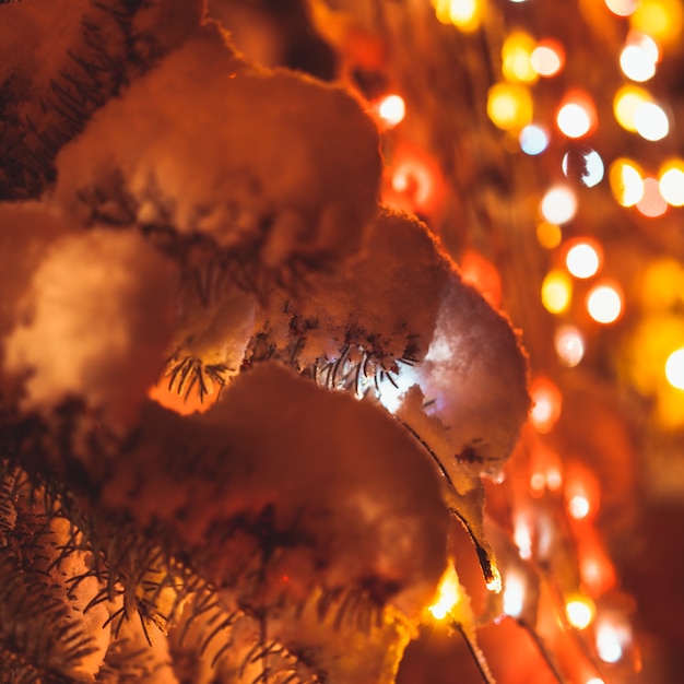 Part of christmas fir-tree under the snow outdoors with lights