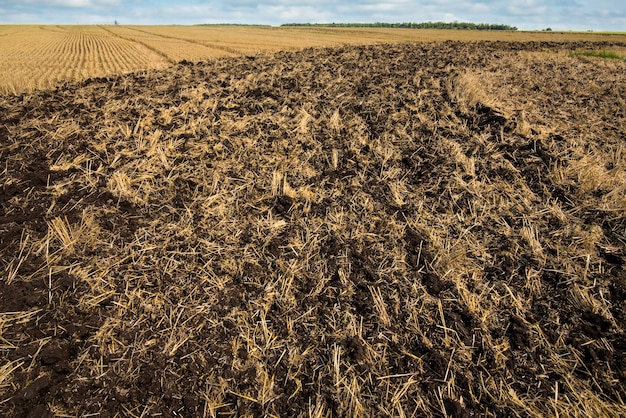 A part of the field is plowed to prepare the soil for planting a new crop