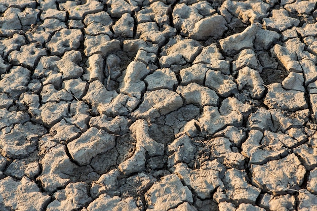 Part of a huge area of dried land suffering from drought in cracksx9