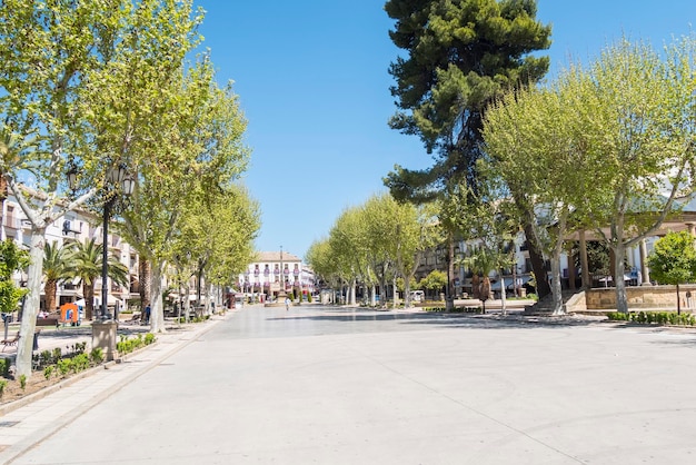 Paseo de la constitucion Baeza Jaen Spain