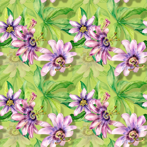 Passion flower plant watercolor seamless pattern isolated on green